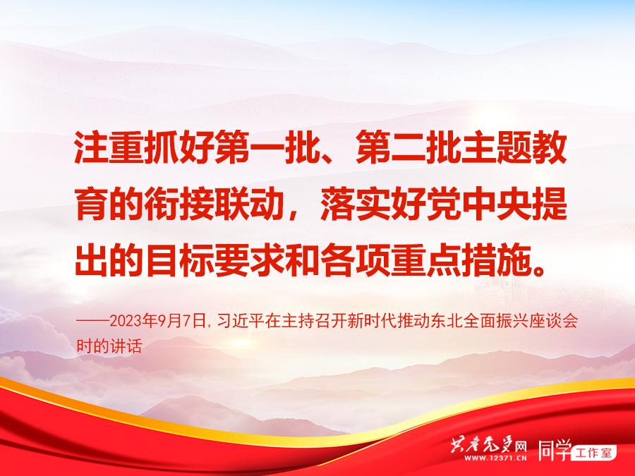 抓好第一批第二批主题教育的衔接联动,总书记提了这些要求